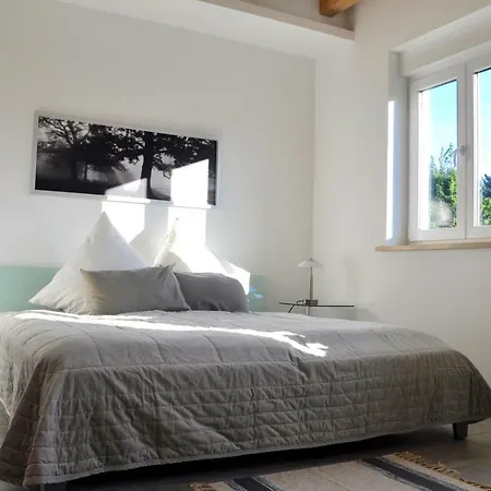 فيلة Berlin-seehof تلتو